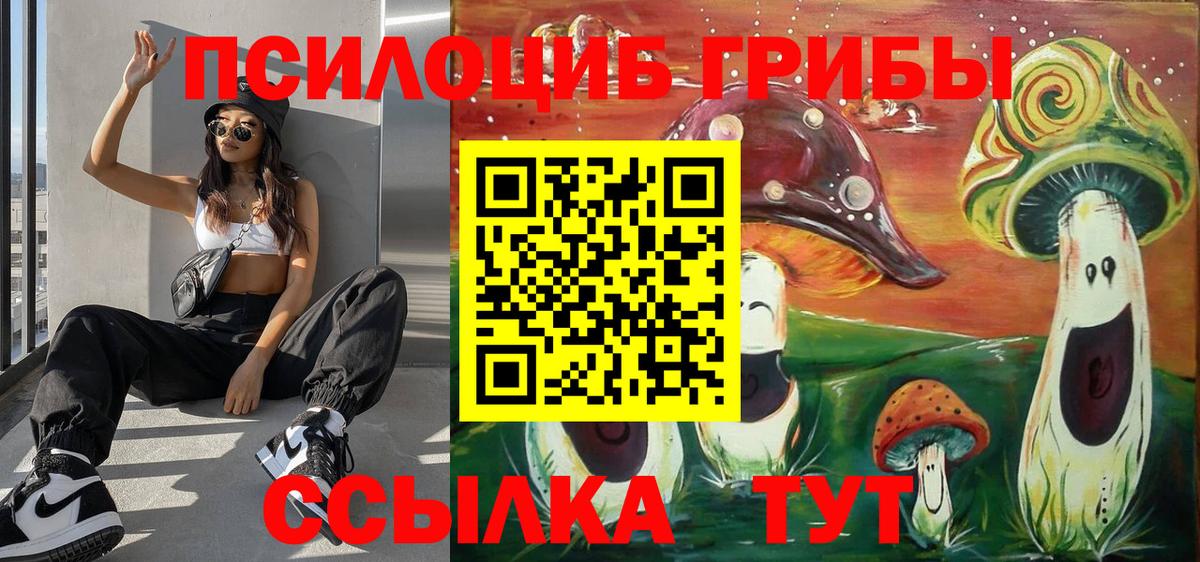 Псилоцибиновые грибы Psilocybine cubensis  Псилоцибиновые грибы MAGIC MUSHROOMS  Вход с VPN  Магнитогорск 